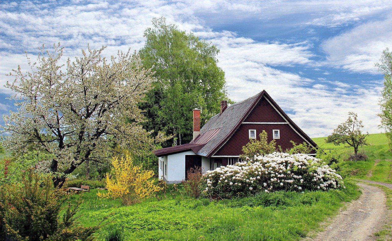 Maison : extension en bois ou en béton ?